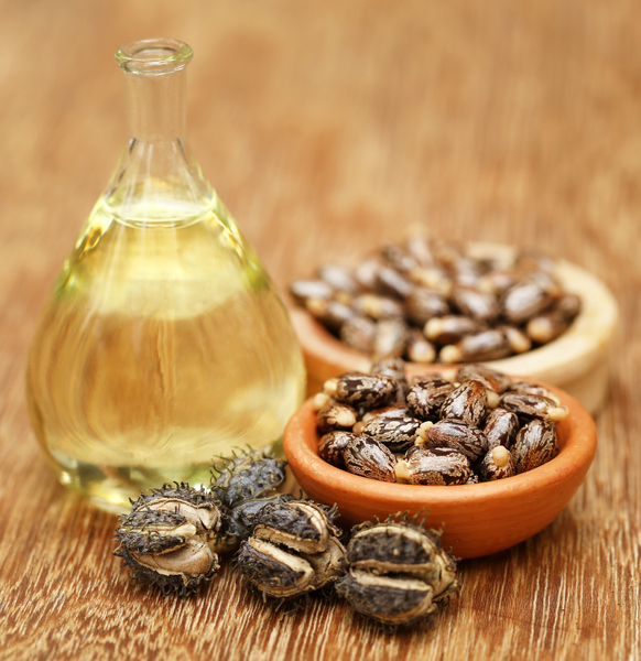 Display of castor oil and its seeds, used for therapeutic purposes